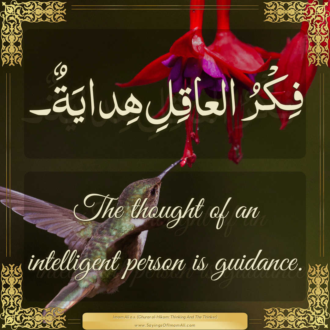 The thought of an intelligent person is guidance.